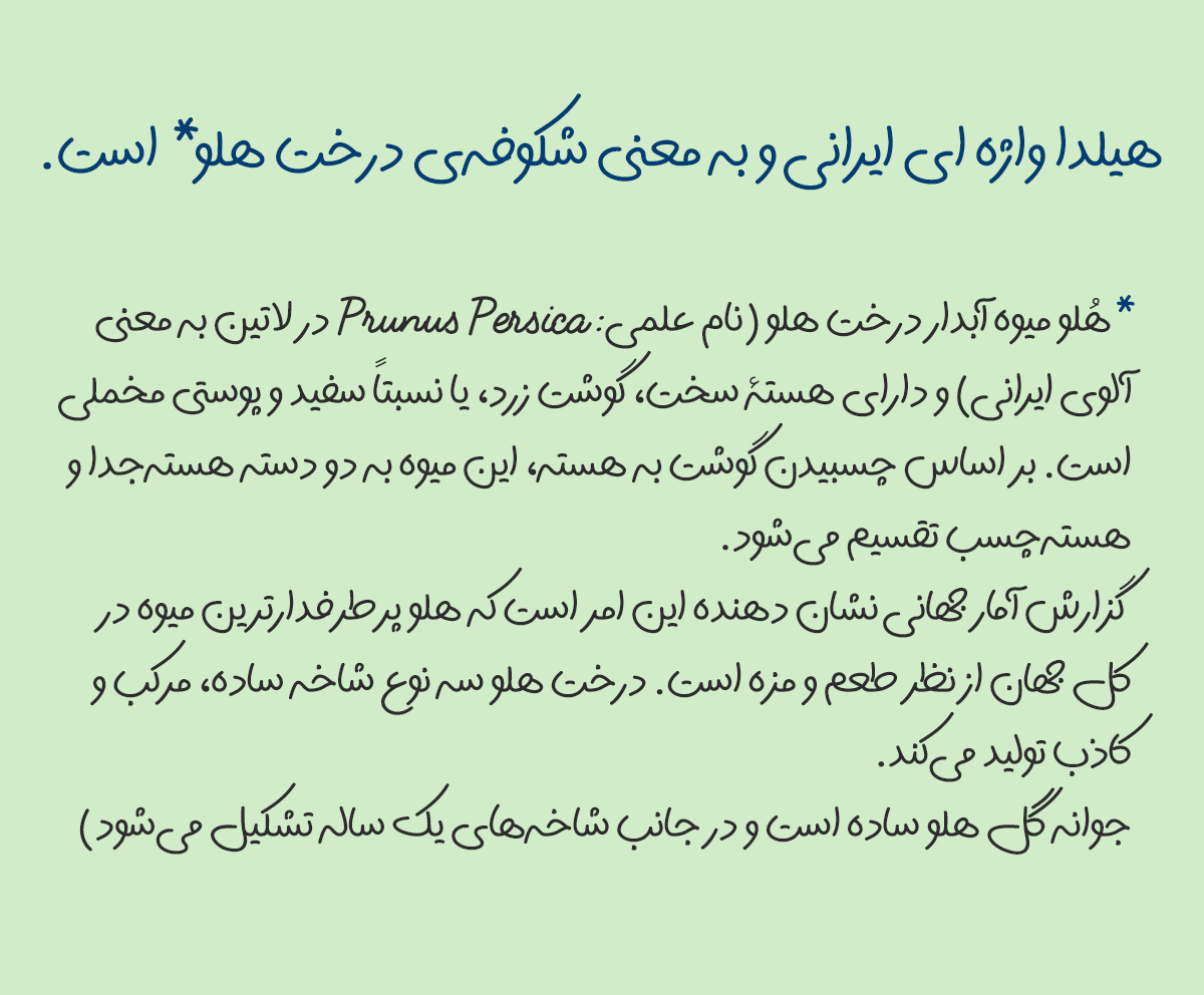 فونت هیلدا
