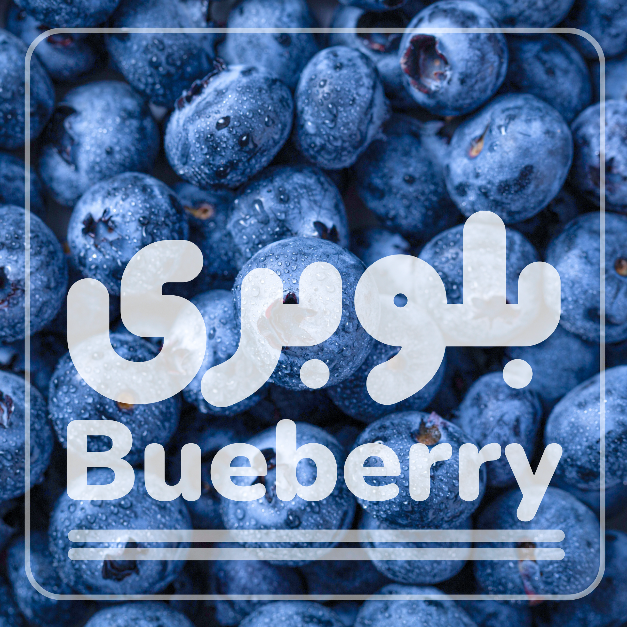 فونت کپسول